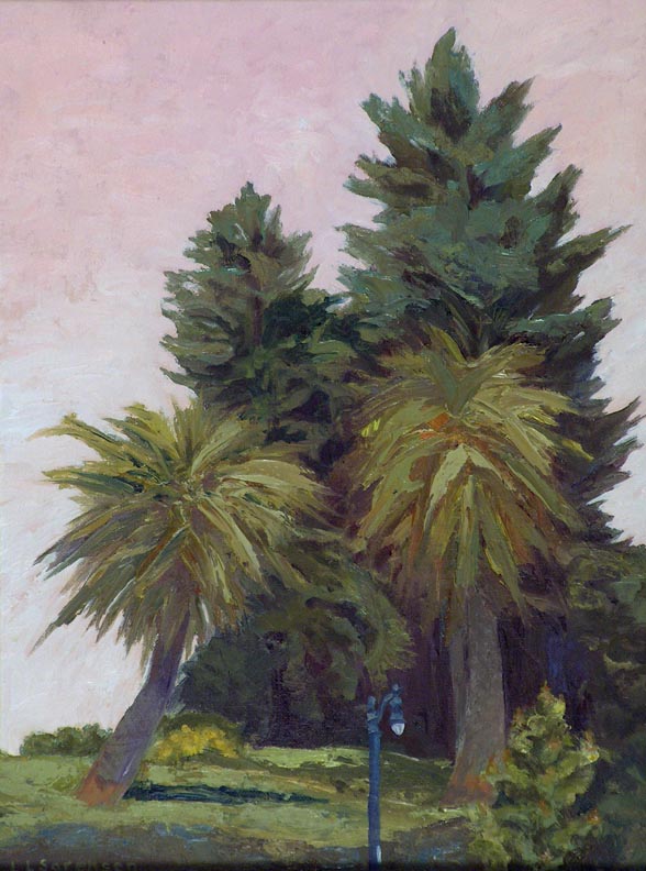 Palms of Penry Park Petaluma LL Sorensen