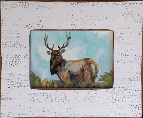 Linda Sorensen Pierce Point Elk