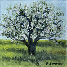 Very Big Old Apple Tree, Linda Sorensen, 6 x 6
