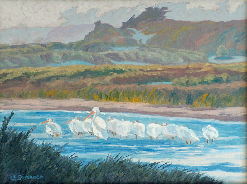 White Pelicans Linda Sorensen
