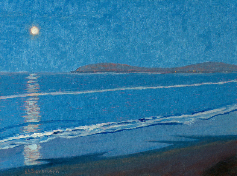 Linda Sorensen Bodega Head in Blue