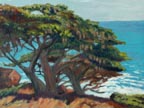 Linda Sorensen Mossy Coastal Cypress