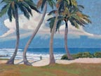 Linda Sorensen North Shore Palms