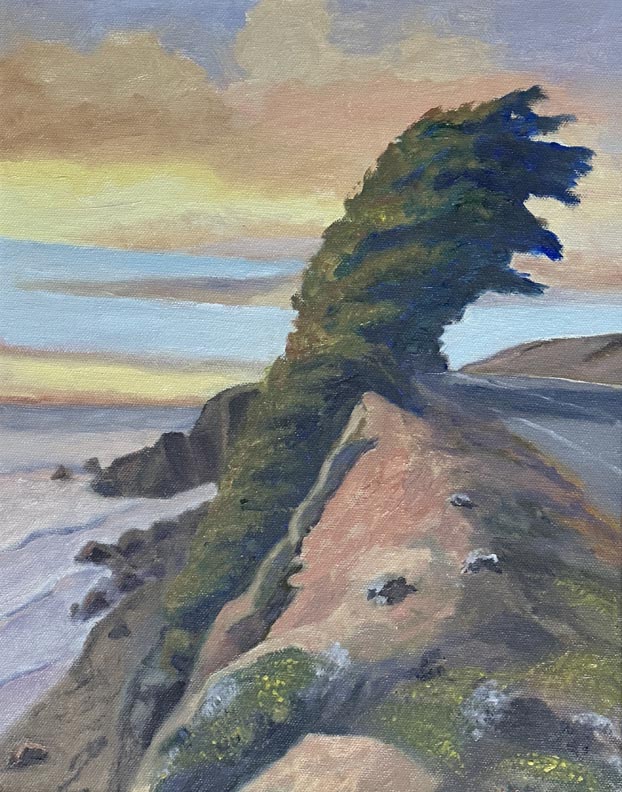 Linda Sorensen, Cypress in Golden Light