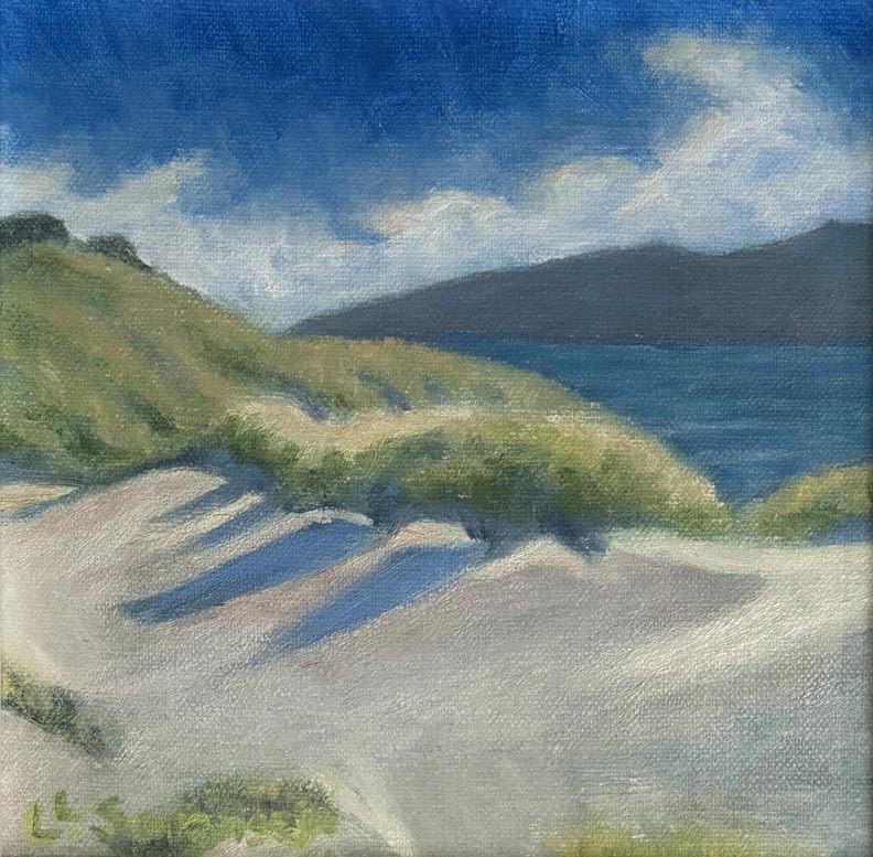 North from Dillon Beach Dunes