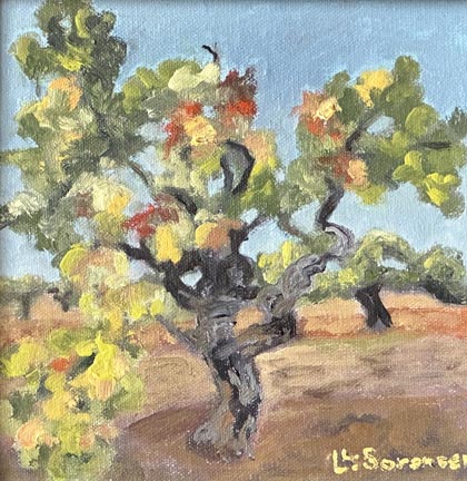 Linda Sorensen, Persistent VineLinda Sorensen, Persistent Vine
