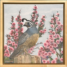 Linda Sorensen, Quail and Manukas