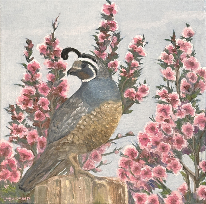 Linda Sorensen, Quail and Manukas