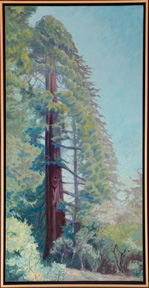 Sentenel, Gove of Old Trees Occidental 36 x 18, 2/22/26
